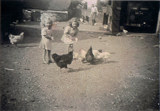 Jeanette and Yvonne feeding chickens in the yard