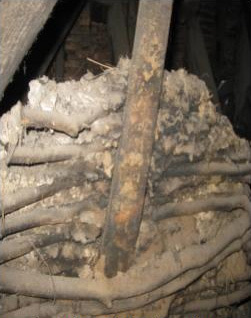 Wattle and Daub preserved in the loft